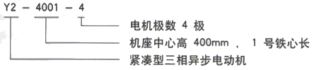 YR系列(H355-1000)高压YJTGKK4504-4三相异步电机西安西玛电机型号说明